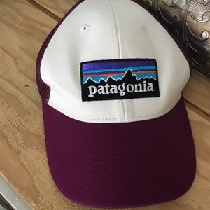 Patagonia Cap